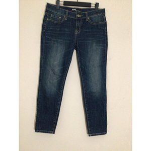 BDG Urban Outfitters Grazer Cigarette Slim Jeans